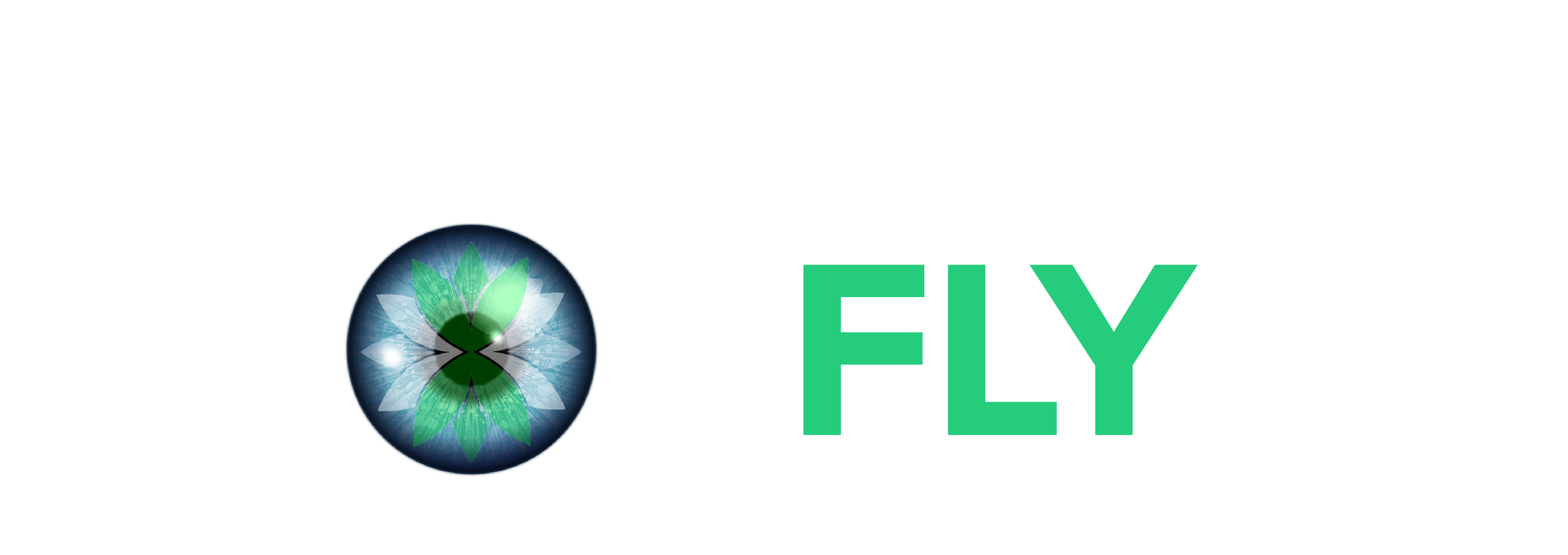 Fly CSI